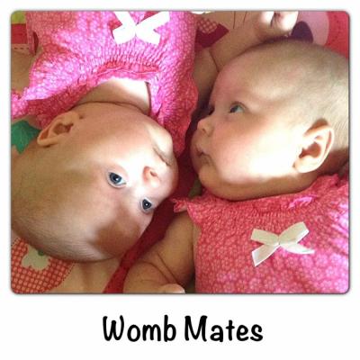 148245980623 Twins Wombmates Mul